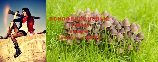 бутират Волосово