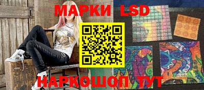 прущие грибы Гатчина
