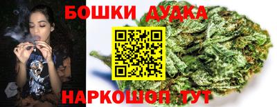 индика Балашиха