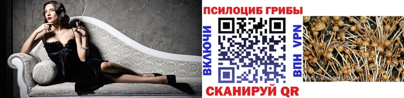 Псилоцибиновые грибы GOLDEN TEACHER  kraken зеркало  Видное 