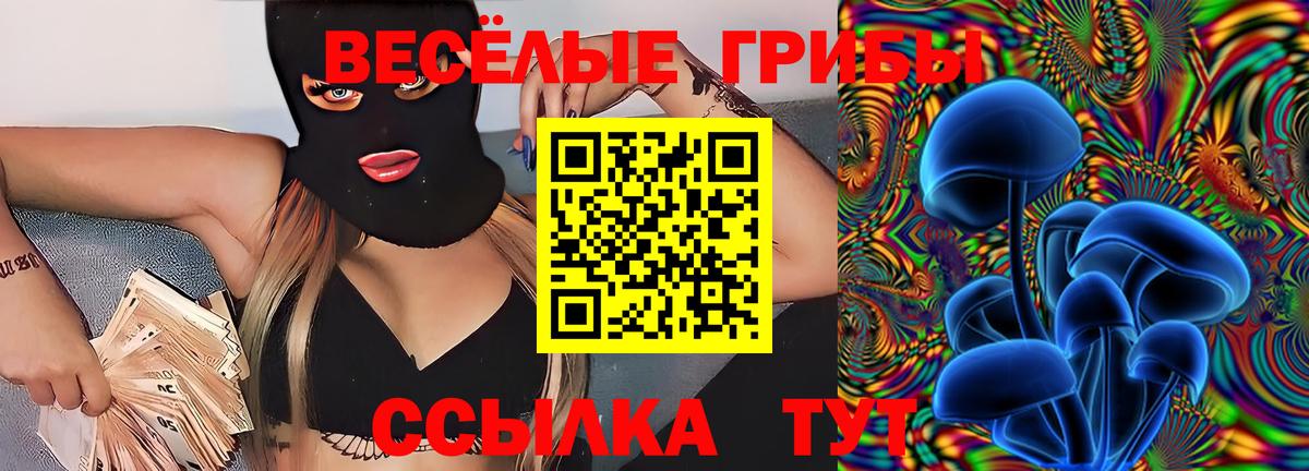Псилоцибиновые грибы MAGIC MUSHROOMS  Вход с VPN  Видное 